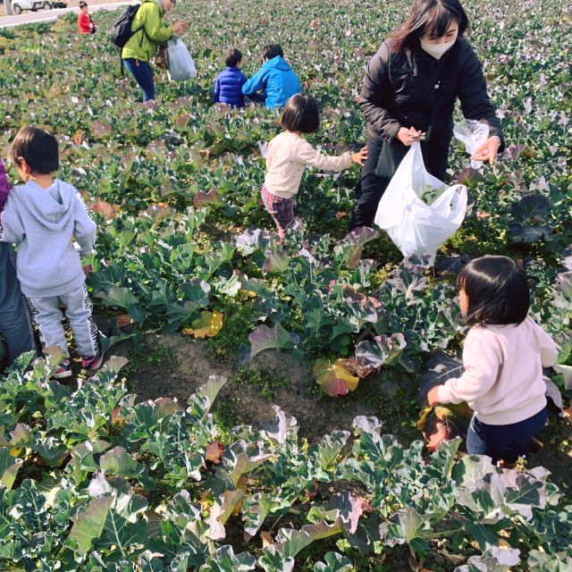 皆さんこんにちは　とくしま有機農業サポートセンタースタッフの内田です😊🌾🦆

昨日1月22日はコープ自然派さんのイベントでブロッコリーの収穫体験を開催しました。天気にも恵まれ、お子様もブロッコリー畑を駆け巡りながらブロッコリーを収穫したり、葉っぱをかじったりと、見て聞いて嗅いで食べて触ってと五感で体験しておりました😆獲れたてのブロッコリーお家で堪能して下さいね♪

今後も楽しんで頂ける体験イベントを多数企画しておりますので、その際は是非ご参加の程、よろしくお願いいたします😌

 #農業体験 #農業体験ツアー #農業体験したい #農業体験イベント #有機農業 #オーガニック #オーガニック野菜 #サスティナブルな暮らし #サスティナブルライフ #農家 #農業 #organic #organicfood #organicfarming #sustainable #sustainablefarming #有機農家さんと繋がりたい #収穫体験 #生物多様性 #食育  #野菜 #野菜好きな人と繋がりたい #ブロッコリー #週末 #オーガニックライフ #家族 #家族の時間 #有機野菜 #コープ自然派 #自然派ママさんと繋がりたい