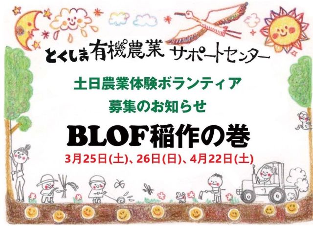 🌾
土日の農業体験ボランティアの
第2回募集と第1回の追加募集を行います🌾✨

始めに、前回告知させていただいた連絡先に
不備がありましたことをお詫び申し上げます🙇

1年を通してお米や野菜作りを
ゼロから学んでみませんか？
1日からの参加も可能ですので、
お気軽にご参加下さい😊
◇◇◇◇◇◇◇◇◇◇◇◇◇◇◇◇◇◇◇◇
#コープ自然派 #コープ自然派しこく 
#とくしま有機農業サポートセンター
 #blof理論 #お米づくり