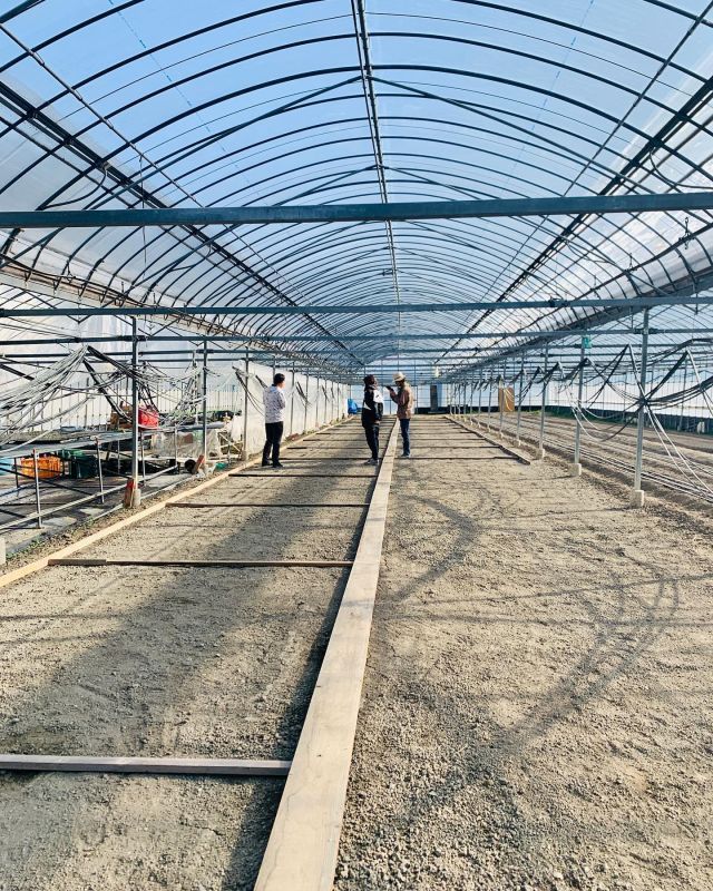 🌾
苗箱置き場が完成しました🌱
育成ムラが出ないように置き床を均平にしたり、
水漏れがない様にビニールシートに破れがないかを
チェックして慎重に作りました🔨
◇◇◇◇◇◇◇◇◇◇◇◇◇◇◇◇◇◇◇◇◇◇◇
#とくしま有機農業サポートセンター
#小松島有機サポートセンター 
#コープ自然派しこく 
#ツルをよぶお米 
#blof理論 
#プール育苗