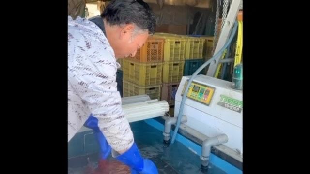 🌾
種もみを温湯消毒します。
60℃のお湯に10分間つけて、
その後すぐに冷水で冷まします❄︎
熱かったり冷たかったりと
副理事長は大忙しです😂
◇◇◇◇◇◇◇◇◇◇◇◇◇◇◇◇◇
#とくしま有機農業サポートセンター 
#小松島有機サポートセンター 
#コープ自然派しこく
#BLOF理論
#ツルをよぶお米 
#温湯消毒