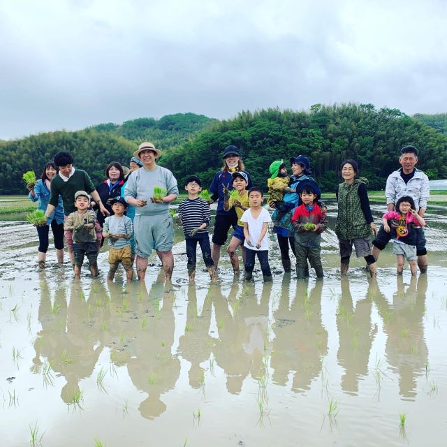 🌾
4月29日にサポートセンターで
「親子でお米づくり、田植えを体験してみよう‼︎」
を開催し、参加者の方には泥っどろになりながら
手植えをしていただきました😆
保護者の方々、後々お洗濯など大変だったのでは
ないでしょうか、、😂
田んぼの生き物調査や収穫イベントも企画して
参りますので、また参加していただけたら
嬉しいです😃✨
◇◇◇◇◇◇◇◇◇◇◇◇◇◇◇◇◇◇
#とくしま有機農業サポートセンター 
#小松島有機農業サポートセンター 
#コープ自然派しこく 
#blof理論 
#田植え