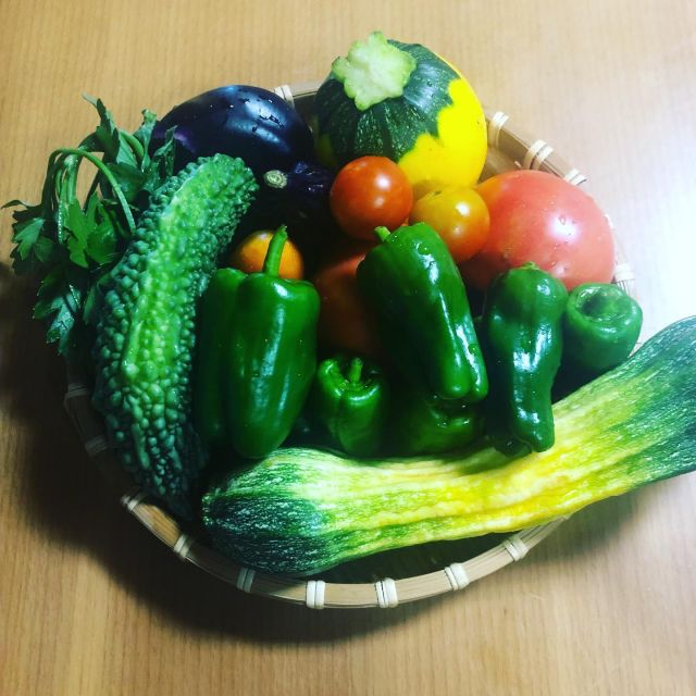 🥗
農園の野菜が収穫できるようになってきました🍅
小さいけれど、形も悪いけれど、自宅用には充分🥗
この時期、一週間で草茫茫ですね、、
（写真はまだ序の口）
◇◇◇◇◇◇◇◇◇◇◇◇◇◇◇◇◇◇
#とくしま有機農業サポートセンター
#小松島有機農業サポートセンター
#コープ自然派しこく
