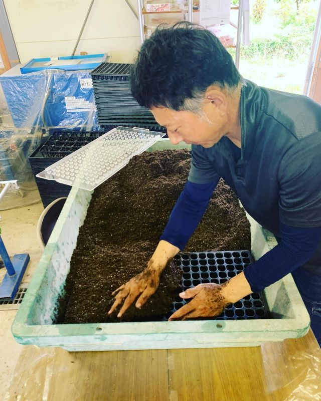 🥦
ブロッコリーの種まきをしました🥦
育苗ポットに土入れ→種まき→覆土で完成ですが、
播種器が大活躍💪✨
種子をざっと播種器に入れてゆすると、
二層式の上段の小孔に種子が入るので、
余分な種子を手前に寄せてからスライド板を押すと、
大孔から種がセルトレイに落ちる仕組みです🙌
小さい種子を大量に蒔くのは気が遠くなりますよね😂
これは便利😆❣️
◇◇◇◇◇◇◇◇◇◇◇◇◇◇◇◇◇◇◇◇
#とくしま有機農業サポートセンター
#小松島有機農業サポートセンター
#コープ自然派しこく 
#blof理論
#ブロッコリー播種