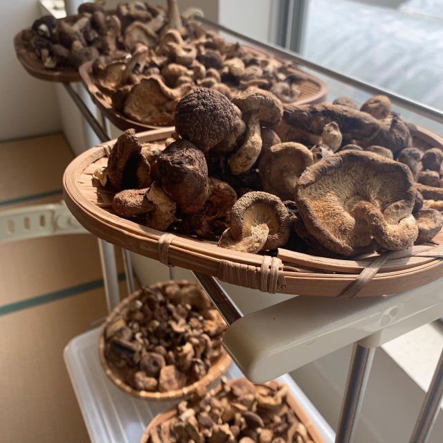 🍄
徳島県は全国有数のしいたけ産地🍄
サポートセンターのある徳島県小松島市櫛渕町も
椎茸生産が盛んです🍄
こちらは規格外のオクラが毎日出て、
あちらは規格外の椎茸、、という事で物物交換成立🙌
沢山あるのでまた干しています🍄
2階の休憩室がめーーっちゃくちゃ暑いので、
窓辺に干してカラカラに🌞
◇◇◇◇◇◇◇◇◇◇◇◇◇◇◇◇◇◇◇◇◇◇◇◇◇
#とくしま有機農業サポートセンター
#小松島有機農業サポートセンター
#櫛渕町 
#干ししいたけ