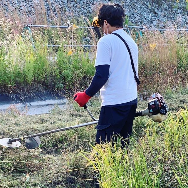 🌱
新研修生の2人が「苦行‼︎」と言いながらも、
畦道の草刈りを頑張ってくれています🙌✨
途中から草刈り機のハンマーナイフの調子が
悪くなった為、刈り払い機一本で悪戦苦闘💦
◇◇◇◇◇◇◇◇◇◇◇◇◇◇◇◇◇◇◇◇◇◇
#とくしま有機農業サポートセンター
#小松島有機農業サポートセンター
#草刈りしんどい