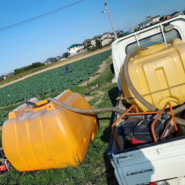 🥦
ブロッコリーの灌水作業です。
シャワーヘッドでの灌水では水分量が追いつかず、
土中潅水に切り替えて、根本辺りに直接水をあげました。
その後4時間かけて葉に付いた虫を葉っぱごと
手作業で回収🐛
沢山おりました🐛🐛🐛
◇◇◇◇◇◇◇◇◇◇◇◇◇◇◇◇◇◇◇◇◇◇◇◇◇
#とくしま有機農業サポートセンター
#小松島有機農業サポートセンター
#コープ自然派しこく 
#blof理論 
#ブロッコリー栽培
