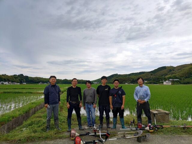 🧑‍🌾
農業機械オペレーター研修4回目
畦草刈りの為のウイングモアー操作。
並行して手作り酵母菌液を柄杓で撒く作業。
稲を避けながら田んぼを歩くのが大変そう！
◇◇◇◇◇◇◇◇◇◇◇◇◇◇◇◇◇◇◇◇
#とくしま有機農業サポートセンター
#小松島有機農業サポートセンター 
#コープ自然派
#ツルをよぶお米 
#農業機械 
#ウイングモアー