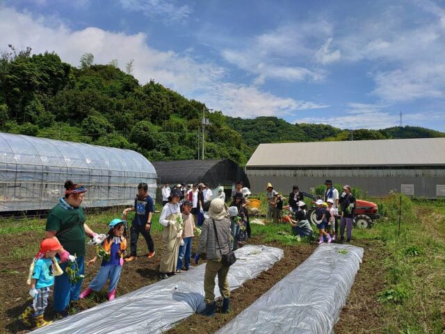 🍠
コープ自然派しこく産直委員会さん主催の
さつま芋作りイベントが昨日開催されました。
前日までの降り続いた雨が嘘のように当日は
晴天🌞✨富岡東高校のボランティア部の皆さんと
組合員の参加者の皆さん、スタッフ陣でまずは
芋の苗植え🌱その後、各々Myピザを作り、
いつものピザ窯で30枚弱焼き続け、
かまどでご飯も炊き、昼食を取りました🍕🍚
秋には収穫祭です！紅はるか•安納芋•パープル
スィートロード・鳴門金時を植えたので、
食べ比べが楽しみですね〜🍠✨
◇◇◇◇◇◇◇◇◇◇◇◇◇◇◇◇◇◇◇◇◇◇◇
#とくしま有機農業サポートセンター 
#小松島有機農業サポートセンター
#コープ自然派
#コープ自然派しこく 
#富岡東高校
#さつま芋 
#いもほり