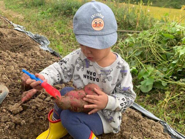 🍠
6月15日にイベントで植え付けしたさつま芋の
収穫イベントが開催されました🍠
酷暑の為、土の中で溶けてしまったものも多く
どれだけ残っているか心配していましたが、
掘り起こしてみるとなかなかの収穫量👀✨
特に鳴門金時は、徳島の気候にマッチしているのか
沢山収穫できました🙌
掘ったお芋は参加者の皆さんにお持ち帰りいただき、
昼食はピザと羽釜ご飯、もずくとわかめのスープ、
試し焼き芋など皆で協力して作り、いただきました😋
参加者の皆さま、富岡東高校ボランティア部の皆さま、
主催のコープ自然派産直委員会の皆さま、
楽しい時間をありがとうございました🙏✨
◇◇◇◇◇◇◇◇◇◇◇◇◇◇◇◇◇◇◇◇◇◇◇◇◇◇
#とくしま有機農業サポートセンター　#小松島有機農業サポートセンター　#コープ自然派　#ピザ窯　#羽釜 
#学生ボランティア  #いもほり