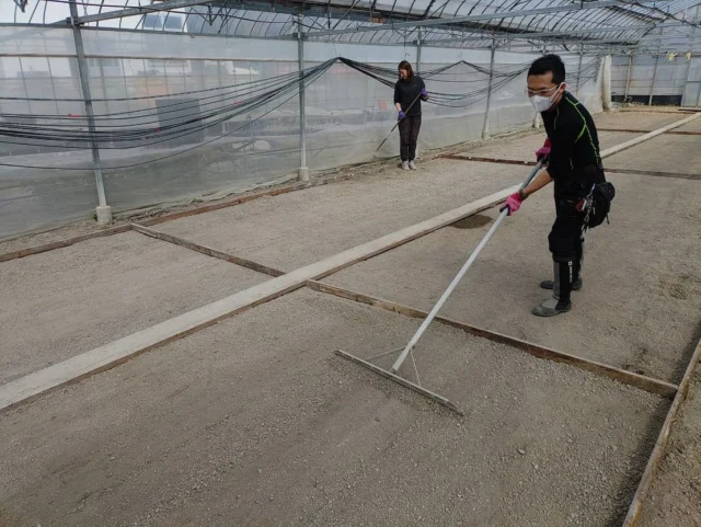 🌾
育苗ムラができないように地面を均して鎮圧を施し
ビニールハウス内に苗箱置き場が完成👩‍🌾
◇◇◇◇◇◇◇◇◇◇◇◇◇◇◇◇◇◇◇◇◇◇◇◇
#とくしま有機農業サポートセンター　
#小松島有機農業サポートセンター　
#コープ自然派　
#有機農業　
#無農薬米